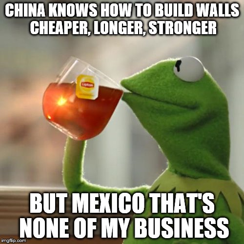 But Thats None Of My Business, BFR? | CHINA KNOWS HOW TO BUILD WALLS CHEAPER, LONGER, STRONGER; BUT MEXICO THAT'S NONE OF MY BUSINESS | image tagged in memes,but thats none of my business,kermit the frog | made w/ Imgflip meme maker