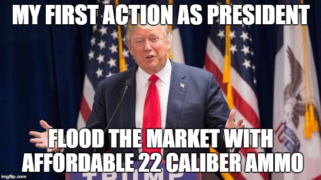 22 ammo | MY FIRST ACTION AS PRESIDENT; FLOOD THE MARKET WITH AFFORDABLE 22 CALIBER AMMO | image tagged in ammo | made w/ Imgflip meme maker