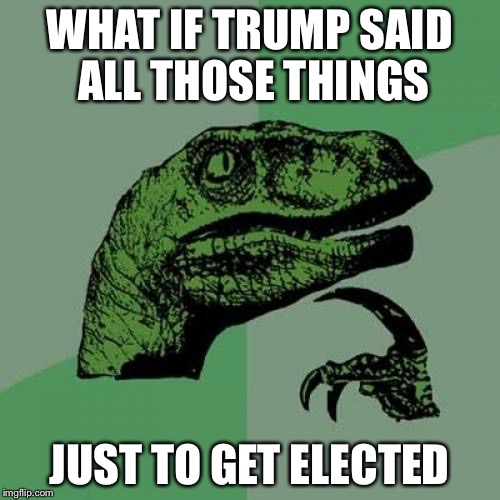 Philosoraptor | WHAT IF TRUMP SAID ALL THOSE THINGS; JUST TO GET ELECTED | image tagged in memes,philosoraptor | made w/ Imgflip meme maker