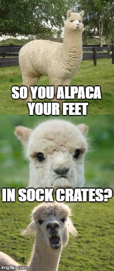 SO YOU ALPACA YOUR FEET IN SOCK CRATES? | made w/ Imgflip meme maker