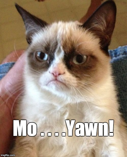 Grumpy Cat Meme | Mo . . . .Yawn! | image tagged in memes,grumpy cat | made w/ Imgflip meme maker