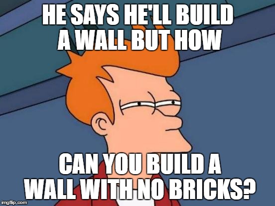 Futurama Fry | HE SAYS HE'LL BUILD A WALL BUT HOW; CAN YOU BUILD A WALL WITH NO BRICKS? | image tagged in memes,futurama fry | made w/ Imgflip meme maker