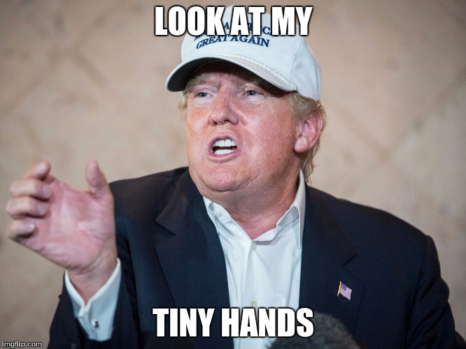 Donald Trump Can't Answer | LOOK AT MY; TINY HANDS | image tagged in donald trump can't answer | made w/ Imgflip meme maker