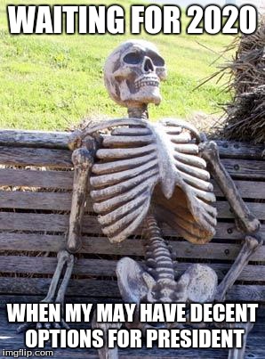 Trump has 4 years to prove he's actually competent | WAITING FOR 2020; WHEN MY MAY HAVE DECENT OPTIONS FOR PRESIDENT | image tagged in memes,waiting skeleton,election 2016 | made w/ Imgflip meme maker