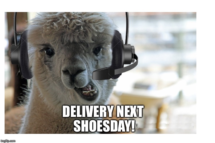 DELIVERY NEXT SHOESDAY! | made w/ Imgflip meme maker
