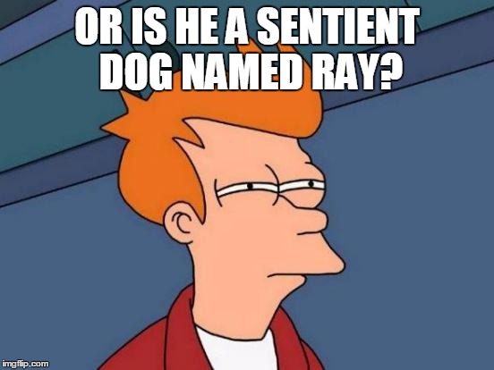 Futurama Fry Meme | OR IS HE A SENTIENT DOG NAMED RAY? | image tagged in memes,futurama fry | made w/ Imgflip meme maker