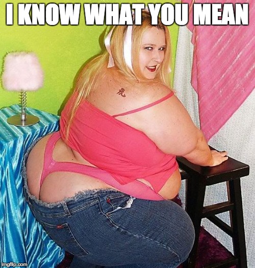 Fat Girl Skinny Jeans | I KNOW WHAT YOU MEAN | image tagged in fat girl skinny jeans | made w/ Imgflip meme maker