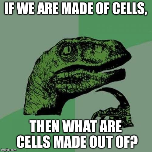 Philosoraptor Meme | IF WE ARE MADE OF CELLS, THEN WHAT ARE CELLS MADE OUT OF? | image tagged in memes,philosoraptor | made w/ Imgflip meme maker