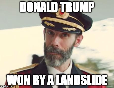 Captain Obvious | DONALD TRUMP; WON BY A LANDSLIDE | image tagged in captain obvious | made w/ Imgflip meme maker