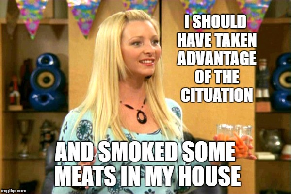 I SHOULD HAVE TAKEN ADVANTAGE OF THE CITUATION AND SMOKED SOME MEATS IN MY HOUSE | made w/ Imgflip meme maker