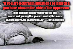 “If you are neutral in situations of injustice, you have chosen the side of the oppressor. If an elephant has its foot on the tail of a mouse, and you say that you are neutral, the mouse will not appreciate your neutrality.” 
― Desmond Tutu | image tagged in mouse  elephant | made w/ Imgflip meme maker