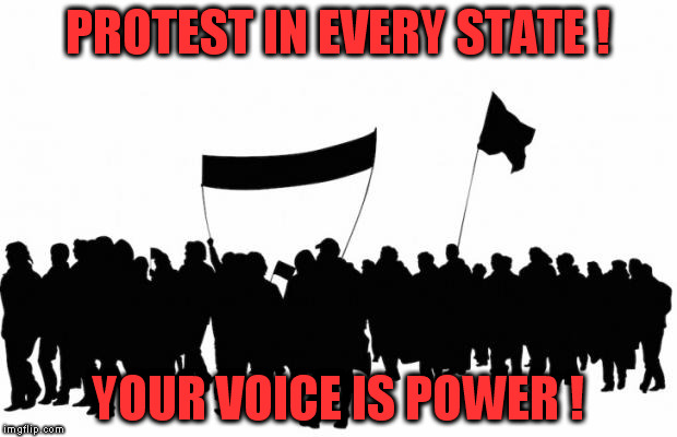 protest hate-protest evil trump | PROTEST IN EVERY STATE ! YOUR VOICE IS POWER ! | image tagged in more protests,florida,texas,pennsylvania,ohio,arizona | made w/ Imgflip meme maker