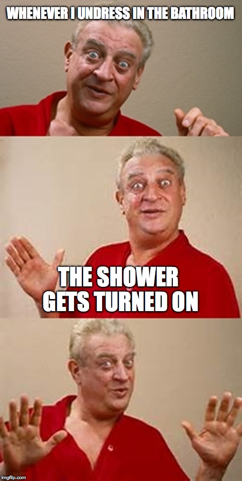 Bathroom pun | WHENEVER I UNDRESS IN THE BATHROOM; THE SHOWER GETS TURNED ON | image tagged in bad pun dangerfield,pun,memes | made w/ Imgflip meme maker