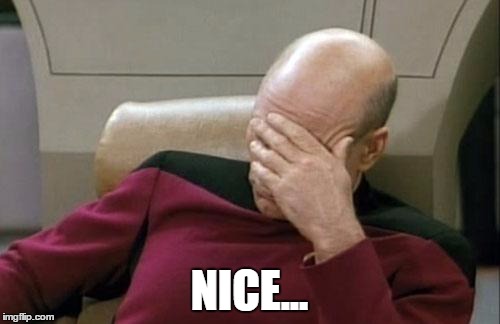 Captain Picard Facepalm Meme | NICE... | image tagged in memes,captain picard facepalm | made w/ Imgflip meme maker