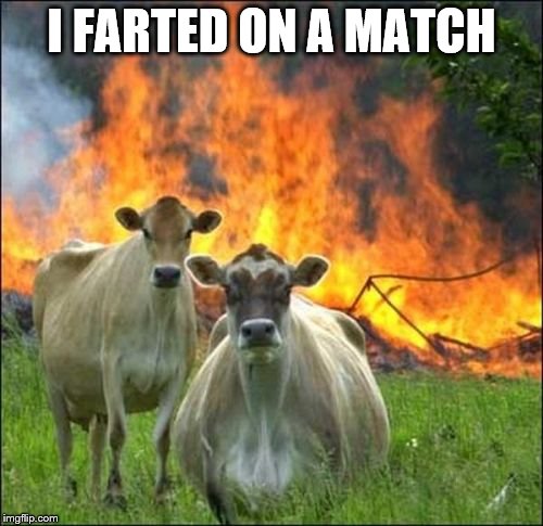 Evil Cows Meme | I FARTED ON A MATCH | image tagged in memes,evil cows | made w/ Imgflip meme maker