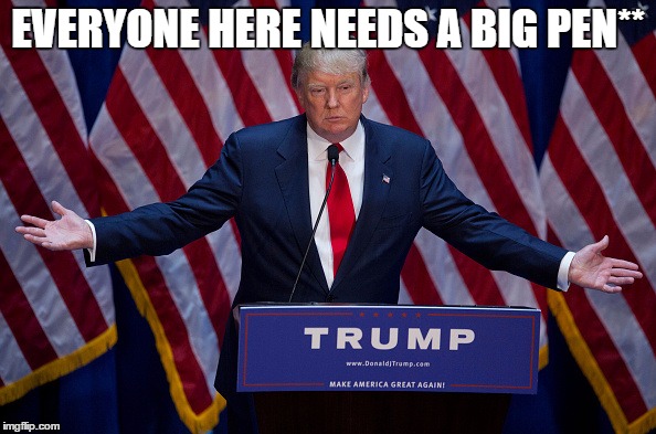 Donald Trump | EVERYONE HERE NEEDS A BIG PEN** | image tagged in donald trump | made w/ Imgflip meme maker