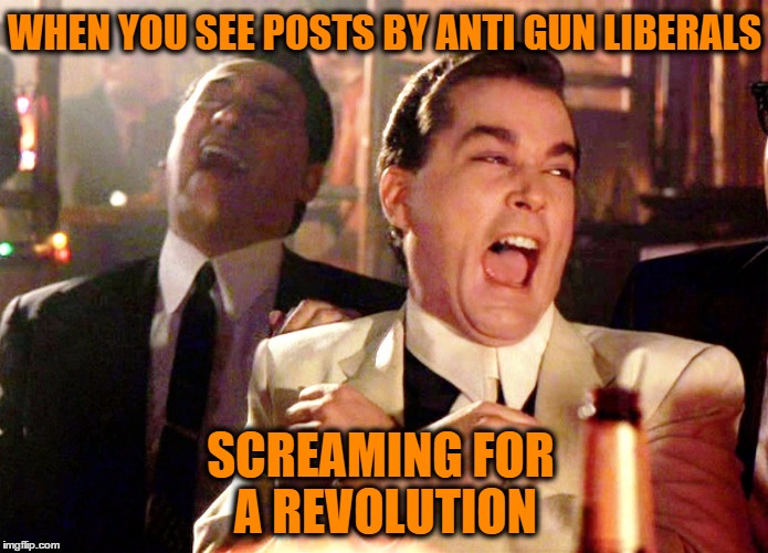 Good Fellas Hilarious | WHEN YOU SEE POSTS BY ANTI GUN LIBERALS; SCREAMING FOR A REVOLUTION | image tagged in memes,good fellas hilarious | made w/ Imgflip meme maker