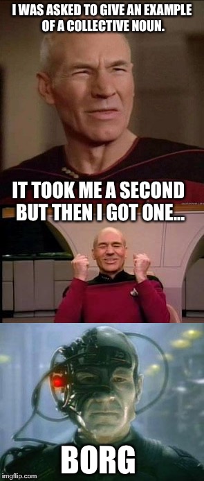 The Collective Noun | I WAS ASKED TO GIVE AN EXAMPLE OF A COLLECTIVE NOUN. IT TOOK ME A SECOND BUT THEN I GOT ONE... BORG | image tagged in memes,picard | made w/ Imgflip meme maker