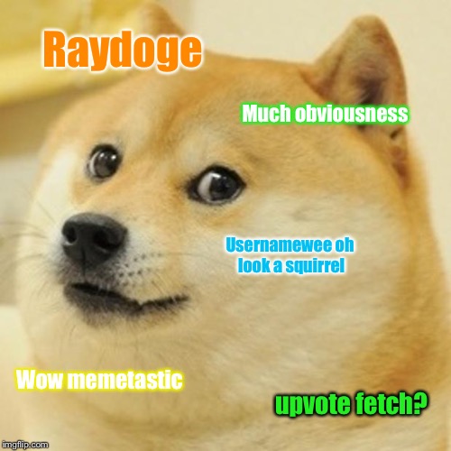 # use the USERNAME weekend ! #raydog | Raydoge; Much obviousness; Usernamewee oh look a squirrel; Wow memetastic; upvote fetch? | image tagged in memes,doge,use someones username in your meme,use the username weekend,raydog | made w/ Imgflip meme maker