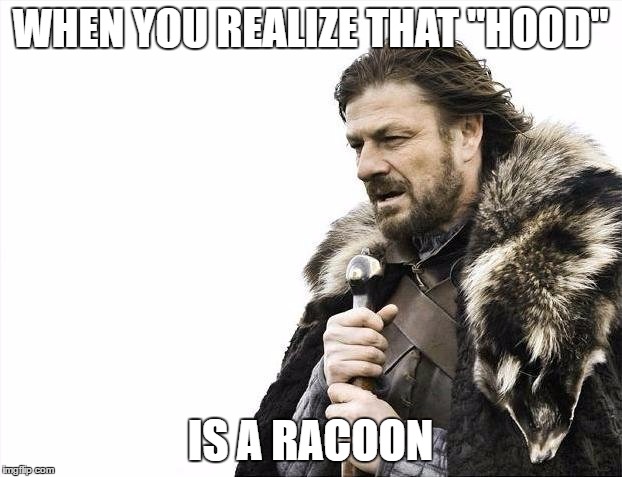 Brace Yourselves X is Coming | WHEN YOU REALIZE THAT "HOOD"; IS A RACOON | image tagged in memes,brace yourselves x is coming | made w/ Imgflip meme maker