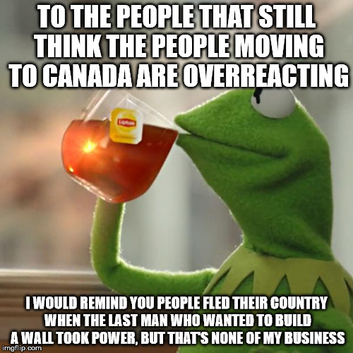 But That's None Of My Business Meme | TO THE PEOPLE THAT STILL THINK THE PEOPLE MOVING TO CANADA ARE OVERREACTING; I WOULD REMIND YOU PEOPLE FLED THEIR COUNTRY WHEN THE LAST MAN WHO WANTED TO BUILD A WALL TOOK POWER, BUT THAT'S NONE OF MY BUSINESS | image tagged in memes,but thats none of my business,kermit the frog | made w/ Imgflip meme maker