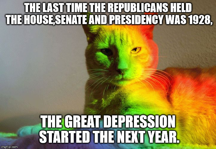 THE LAST TIME THE REPUBLICANS HELD THE HOUSE,SENATE AND PRESIDENCY WAS 1928, THE GREAT DEPRESSION STARTED THE NEXT YEAR. | image tagged in rainbow cat | made w/ Imgflip meme maker