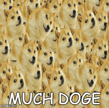 Much Doge - Imgflip