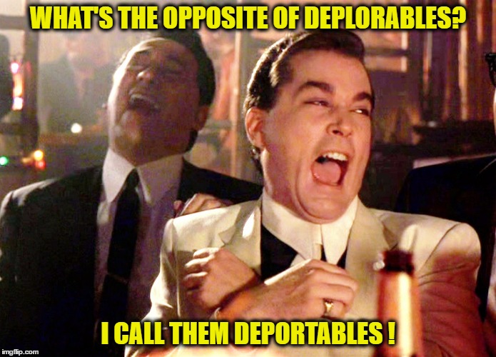 Good Fellas Hilarious Meme | WHAT'S THE OPPOSITE OF DEPLORABLES? I CALL THEM DEPORTABLES ! | image tagged in memes,good fellas hilarious | made w/ Imgflip meme maker