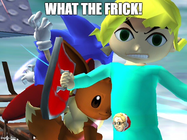 What the FRICK! | WHAT THE FRICK! | image tagged in chadtronic ssbb photo shoot,super smash bros,chadtronic,eevee,classic sonic,selfie | made w/ Imgflip meme maker