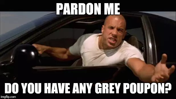 dominic toretto fast and furious | PARDON ME; DO YOU HAVE ANY GREY POUPON? | image tagged in dominic toretto fast and furious | made w/ Imgflip meme maker