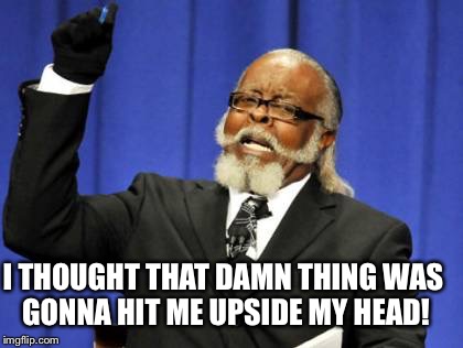 Too Damn High Meme | I THOUGHT THAT DAMN THING WAS GONNA HIT ME UPSIDE MY HEAD! | image tagged in memes,too damn high | made w/ Imgflip meme maker