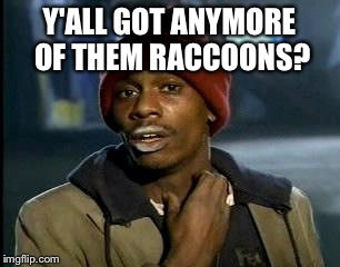 Y'all Got Any More Of That Meme | Y'ALL GOT ANYMORE OF THEM RACCOONS? | image tagged in memes,yall got any more of | made w/ Imgflip meme maker
