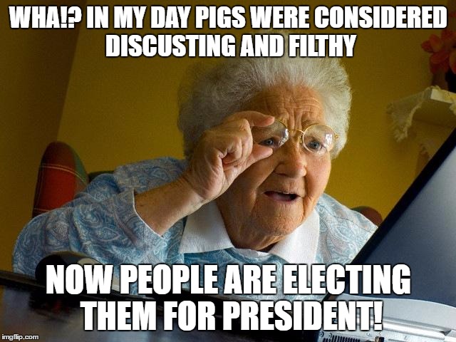 Grandma Finds The Internet Meme | WHA!? IN MY DAY PIGS WERE CONSIDERED DISCUSTING AND FILTHY; NOW PEOPLE ARE ELECTING THEM FOR PRESIDENT! | image tagged in memes,grandma finds the internet | made w/ Imgflip meme maker