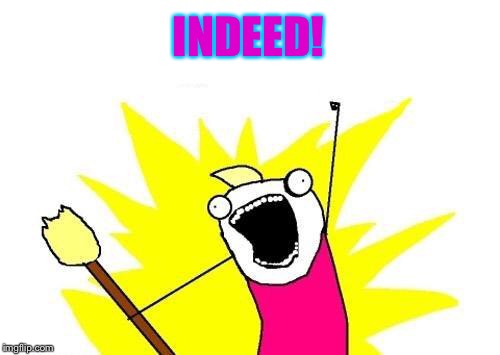 X All The Y Meme | INDEED! | image tagged in memes,x all the y | made w/ Imgflip meme maker