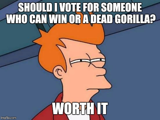 Futurama Fry Meme | SHOULD I VOTE FOR SOMEONE WHO CAN WIN OR A DEAD GORILLA? WORTH IT | image tagged in memes,futurama fry | made w/ Imgflip meme maker