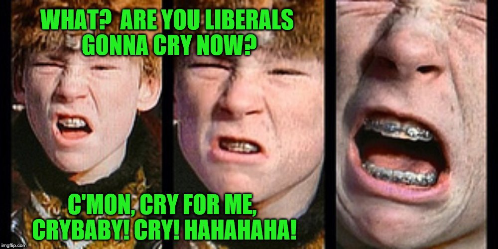 Y'all Got Trump'd! | WHAT?  ARE YOU LIBERALS GONNA CRY NOW? C'MON, CRY FOR ME, CRYBABY! CRY! HAHAHAHA! | image tagged in college liberal | made w/ Imgflip meme maker