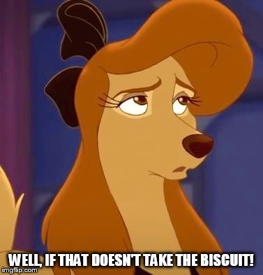 Well, If That Doesn't Take The Biscuit! | WELL, IF THAT DOESN'T TAKE THE BISCUIT! | image tagged in dixie dismayed,memes,disney,the fox and the hound 2,reba mcentire,dog | made w/ Imgflip meme maker