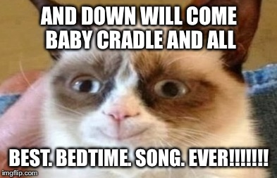 AND DOWN WILL COME BABY CRADLE AND ALL; BEST. BEDTIME. SONG. EVER!!!!!!! | image tagged in cat | made w/ Imgflip meme maker