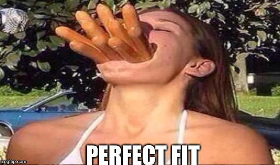 PERFECT FIT | made w/ Imgflip meme maker