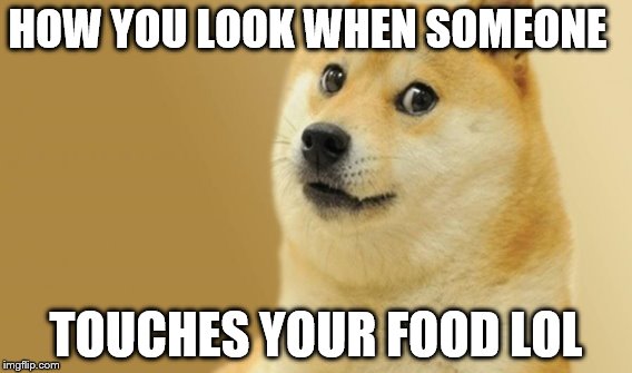 DOGE MEME | HOW YOU LOOK WHEN SOMEONE; TOUCHES YOUR FOOD LOL | image tagged in doge meme,meme,doge,funny doge,funny,food | made w/ Imgflip meme maker