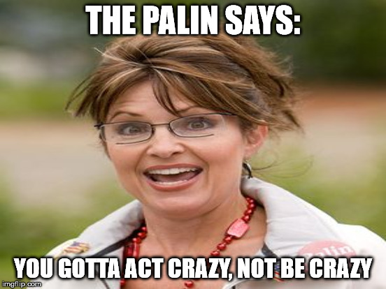 THE PALIN SAYS: YOU GOTTA ACT CRAZY, NOT BE CRAZY | made w/ Imgflip meme maker