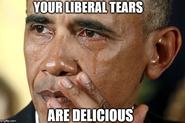 Obama Crying liberal tears are delicious | YOUR LIBERAL TEARS; ARE DELICIOUS | image tagged in obama,crying,liberal,tears,delicious,meme | made w/ Imgflip meme maker