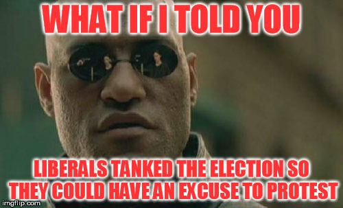 Because if Hillary would have won, what would they be protesting?  | WHAT IF I TOLD YOU; LIBERALS TANKED THE ELECTION SO THEY COULD HAVE AN EXCUSE TO PROTEST | image tagged in memes,matrix morpheus | made w/ Imgflip meme maker