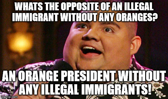 WHATS THE OPPOSITE OF AN ILLEGAL IMMIGRANT WITHOUT ANY ORANGES? AN ORANGE PRESIDENT WITHOUT ANY ILLEGAL IMMIGRANTS! | made w/ Imgflip meme maker