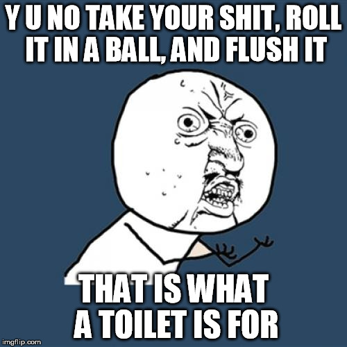 Sometimes the shit hits the floor before you get to the toilet | Y U NO TAKE YOUR SHIT, ROLL IT IN A BALL, AND FLUSH IT; THAT IS WHAT A TOILET IS FOR | image tagged in memes,y u no | made w/ Imgflip meme maker