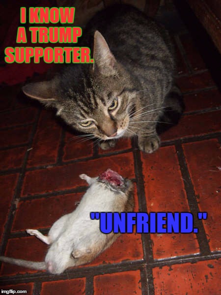 Unfriend | I KNOW A TRUMP SUPPORTER. "UNFRIEND." | image tagged in tablet | made w/ Imgflip meme maker