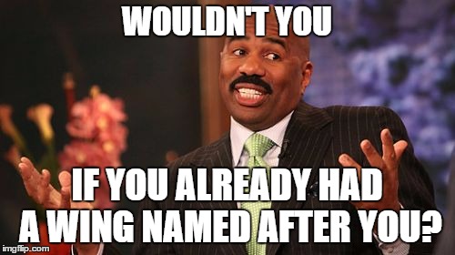 Steve Harvey Meme | WOULDN'T YOU IF YOU ALREADY HAD A WING NAMED AFTER YOU? | image tagged in memes,steve harvey | made w/ Imgflip meme maker