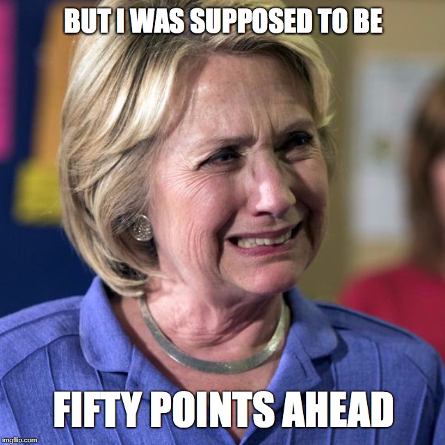 BUT I WAS SUPPOSED TO BE; FIFTY POINTS AHEAD | image tagged in hil-loser | made w/ Imgflip meme maker