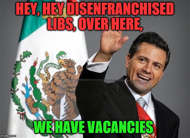 You don't ALL have to go to Canada.  | HEY, HEY DISENFRANCHISED LIBS, OVER HERE, WE HAVE VACANCIES | image tagged in memes,mexico,moving | made w/ Imgflip meme maker
