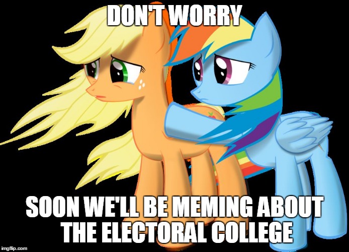 pony | DON'T WORRY; SOON WE'LL BE MEMING ABOUT THE ELECTORAL COLLEGE | image tagged in pony | made w/ Imgflip meme maker